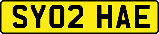 SY02HAE