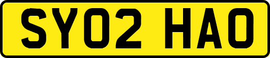 SY02HAO