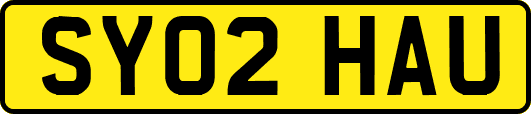 SY02HAU