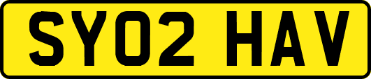 SY02HAV