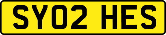 SY02HES