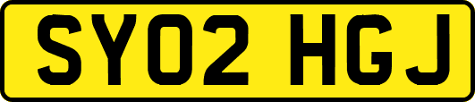 SY02HGJ