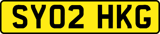 SY02HKG