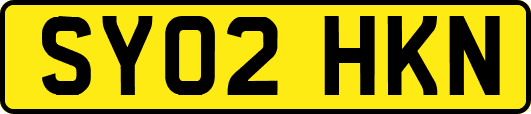 SY02HKN