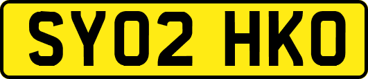 SY02HKO
