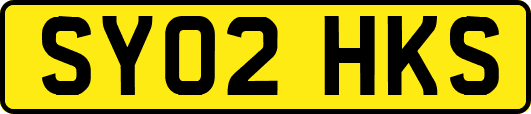 SY02HKS