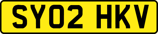 SY02HKV
