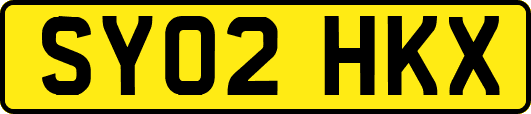 SY02HKX