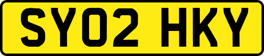 SY02HKY