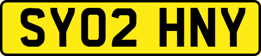 SY02HNY