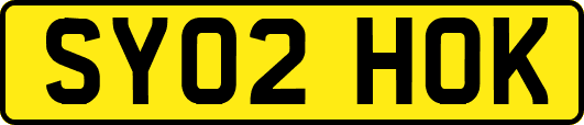 SY02HOK