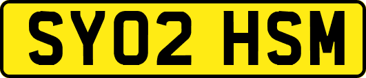 SY02HSM