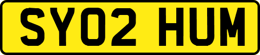 SY02HUM