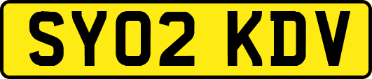 SY02KDV