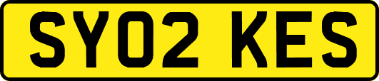 SY02KES