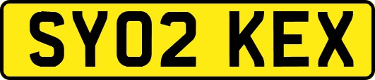 SY02KEX