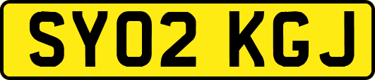 SY02KGJ