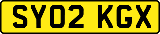 SY02KGX