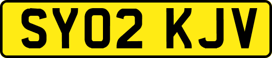 SY02KJV