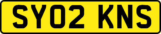 SY02KNS