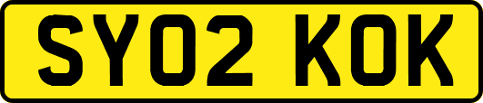 SY02KOK