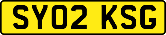 SY02KSG