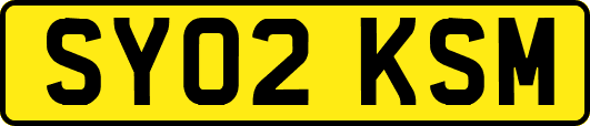SY02KSM