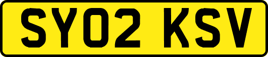 SY02KSV