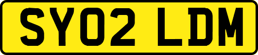 SY02LDM