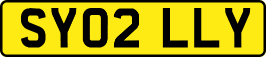 SY02LLY