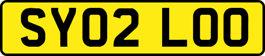 SY02LOO
