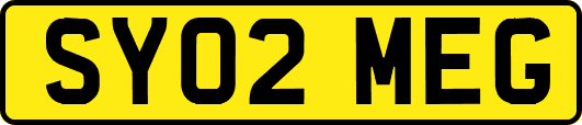 SY02MEG