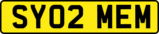 SY02MEM