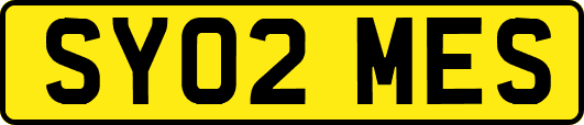 SY02MES