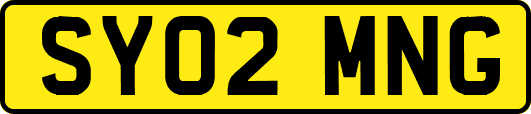 SY02MNG