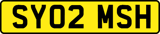 SY02MSH