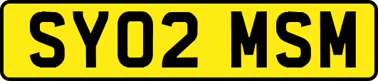 SY02MSM