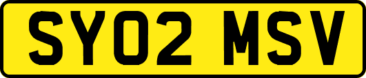 SY02MSV