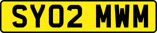 SY02MWM