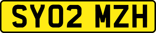 SY02MZH