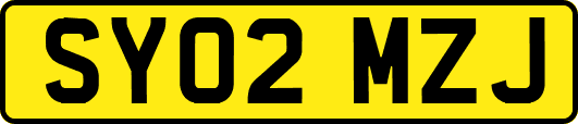 SY02MZJ