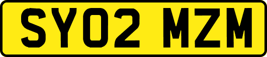 SY02MZM