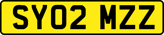 SY02MZZ