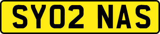SY02NAS