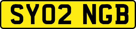 SY02NGB