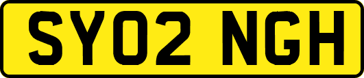 SY02NGH