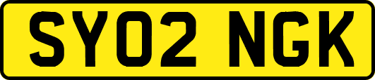 SY02NGK