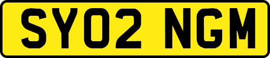 SY02NGM