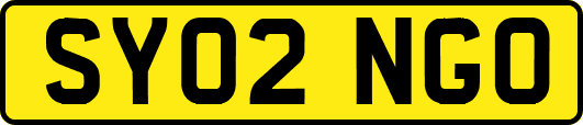 SY02NGO