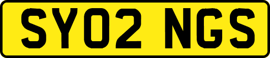 SY02NGS